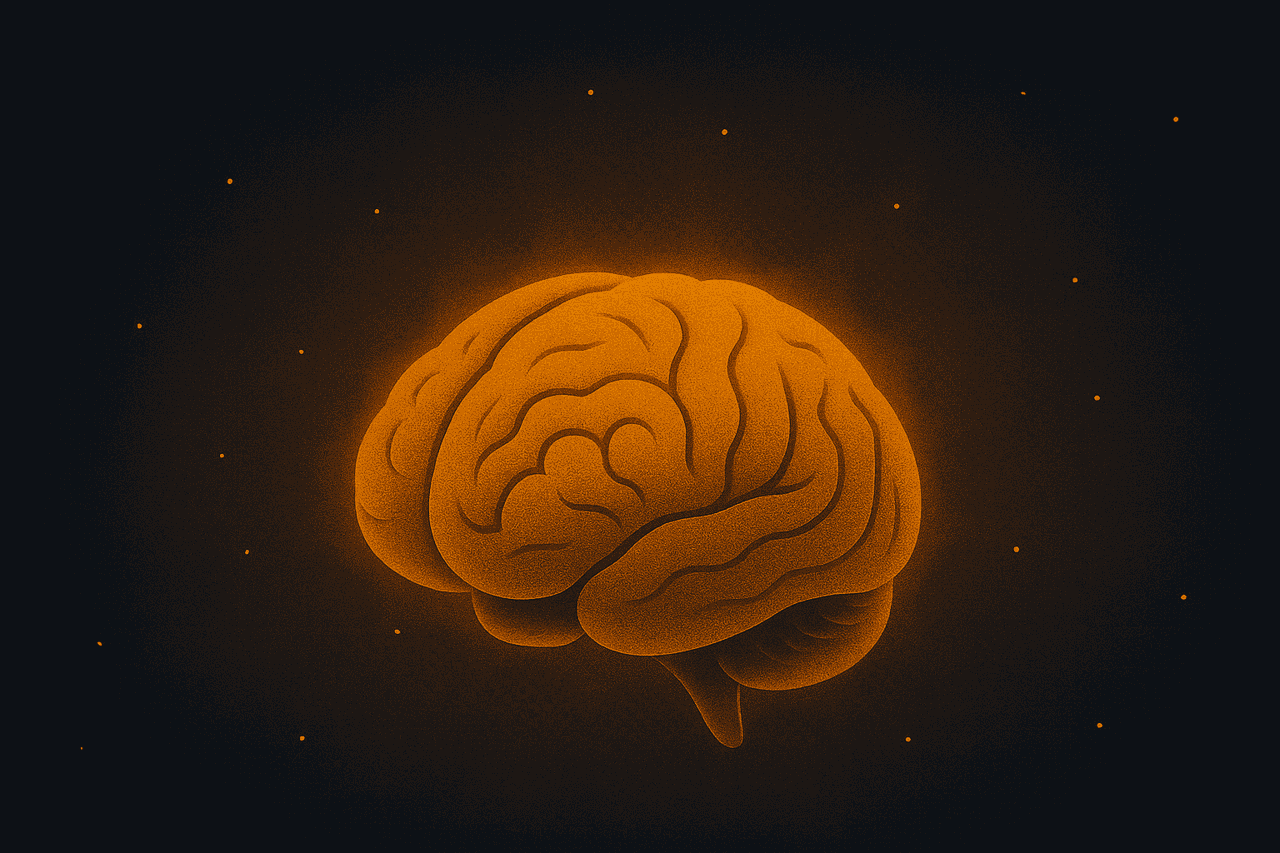 O Rebelde Intelectual